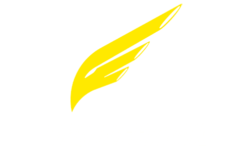 enginehawk logo
